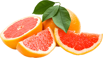 Introduction image
