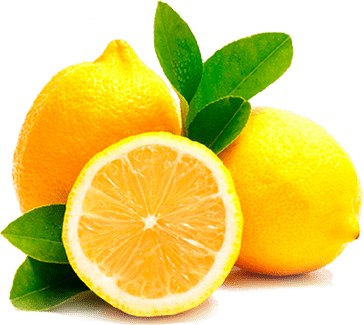 Introduction image